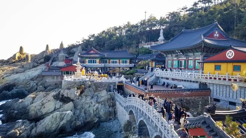 [HÀN QUỐC NO SHOP 5N4Đ] BUSAN – JEJU - HÀ NỘI | BẢN TÌNH CA HÈ - Image - 14791