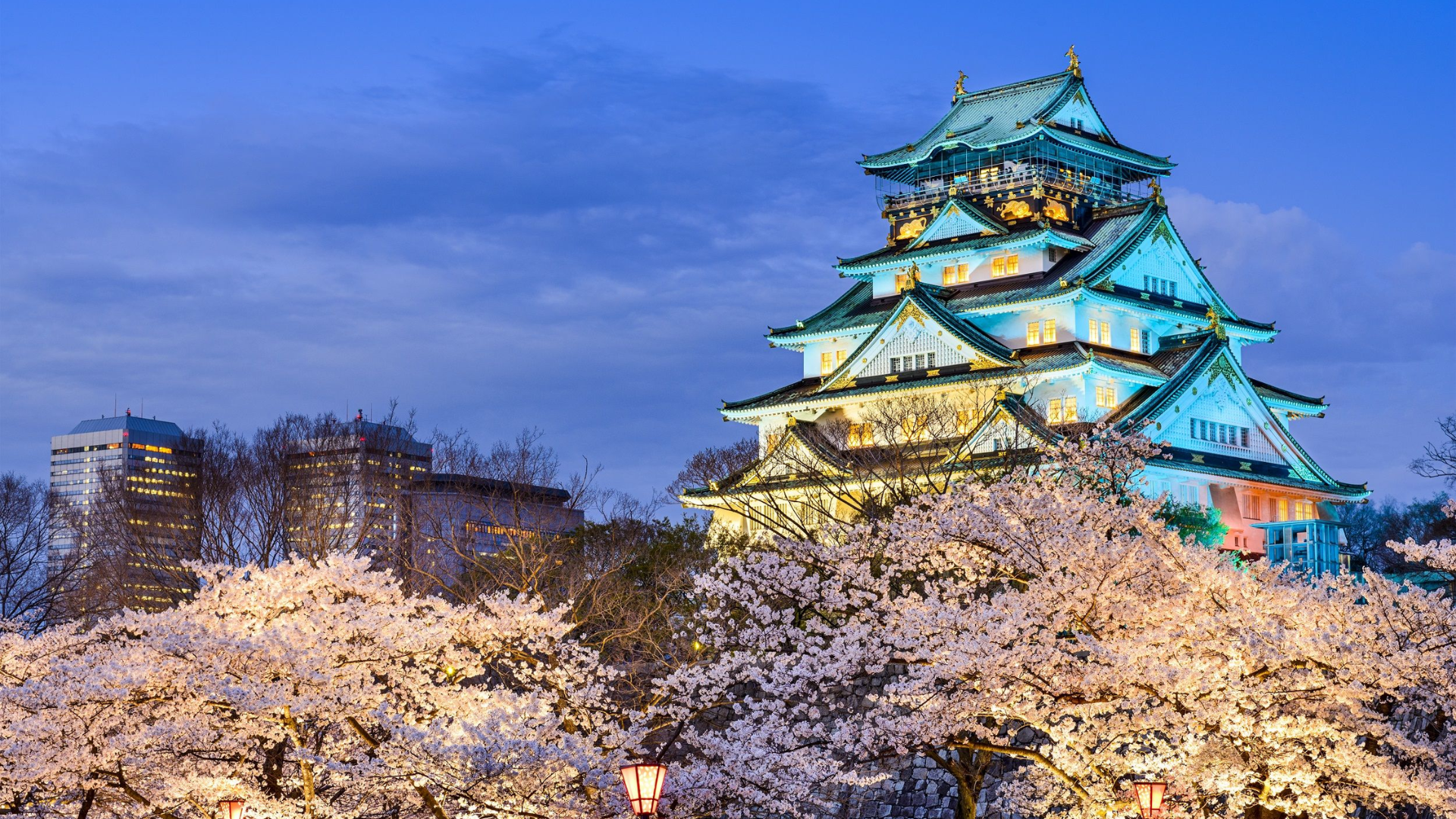 7D5N TOKYO & DISNEYLAND MAGIC (DEC 2025) - Image - 1036