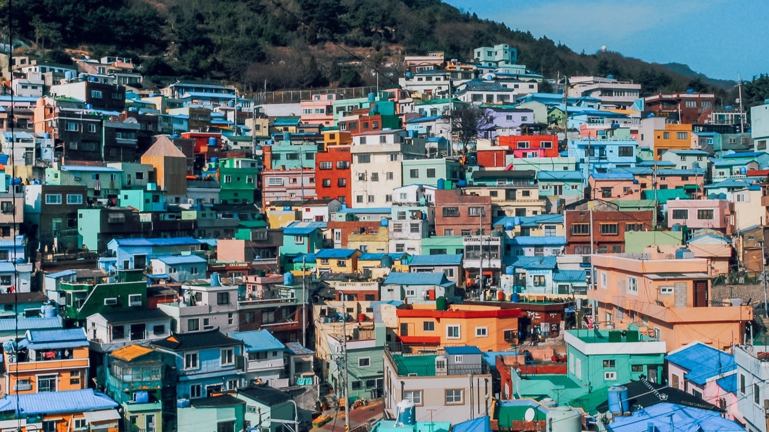 HÀ NỘI – BUSAN -SEOUL– ĐẢO NAMI – INCHEON- THƯ VIỆN SÁCH- ĐI PHÀ CHO HẢI ÂU ĂN 6N5Đ - Image - 13155