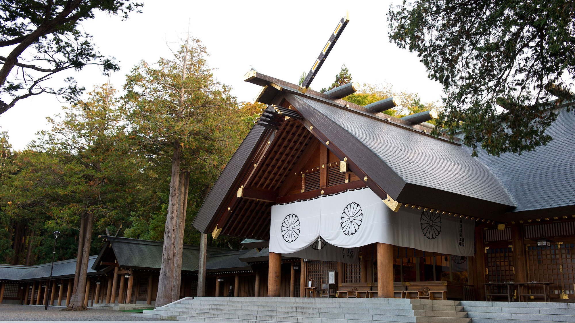 ASAHIKAWA – FARM TOMITA - JOZANKEI OTARU – SAPPORO - Image - 13626