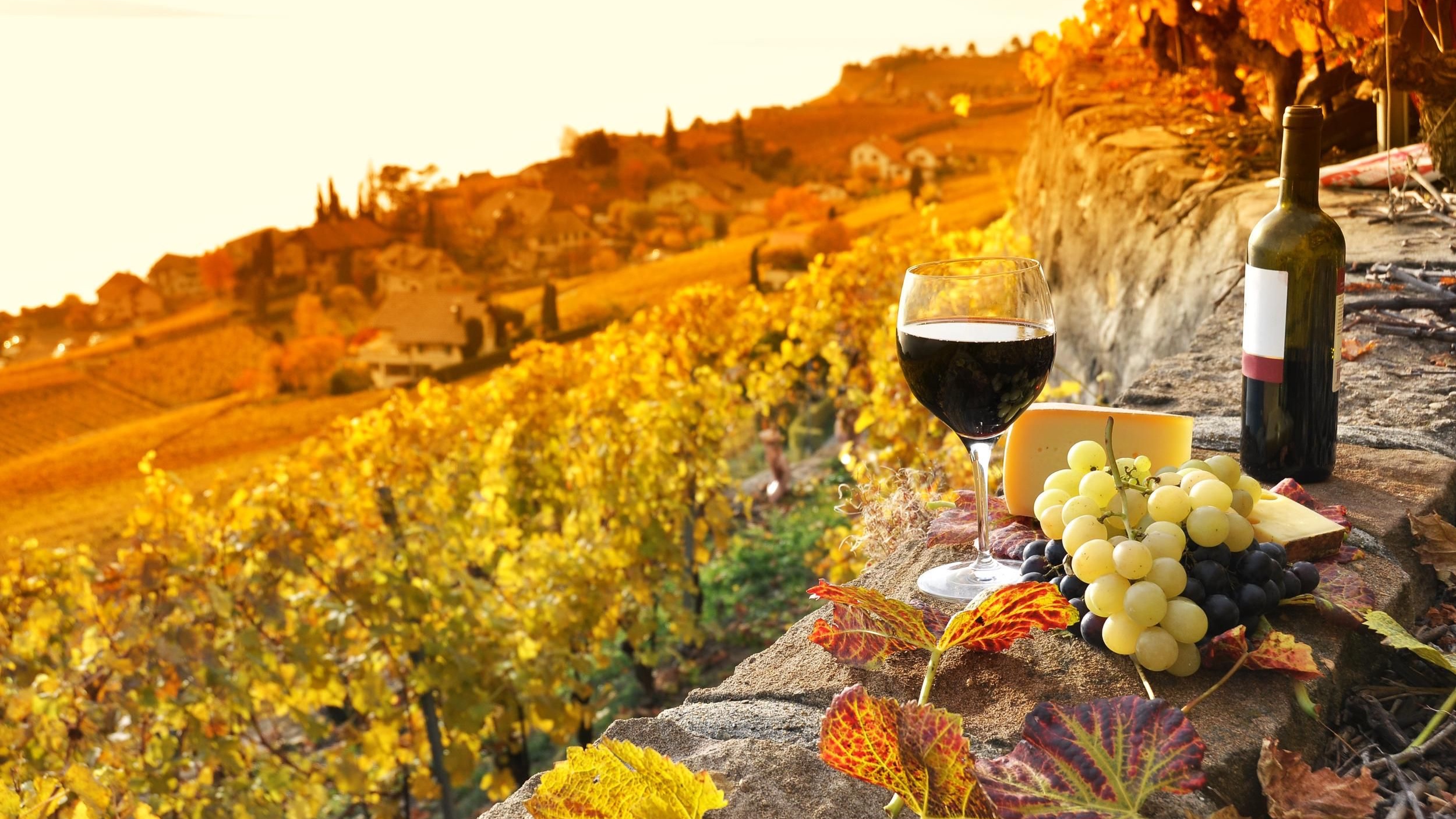 Tbilisi to Kakheti Wine Region Day Tour – Sighnaghi, Bodbe Monastery & Wine Tasting - Image - 14250