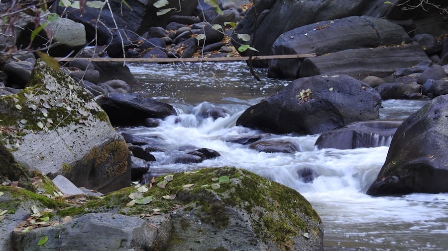 Tbilisi to Borjomi Day Tour – Borjomi Central Park, Mineral Water &amp; Nature Escape - Image - 14329