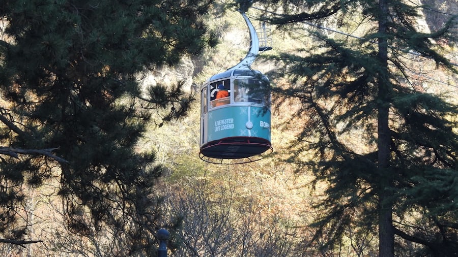 Tbilisi to Borjomi Day Tour – Borjomi Central Park, Mineral Water &amp; Nature Escape - Image - 14326