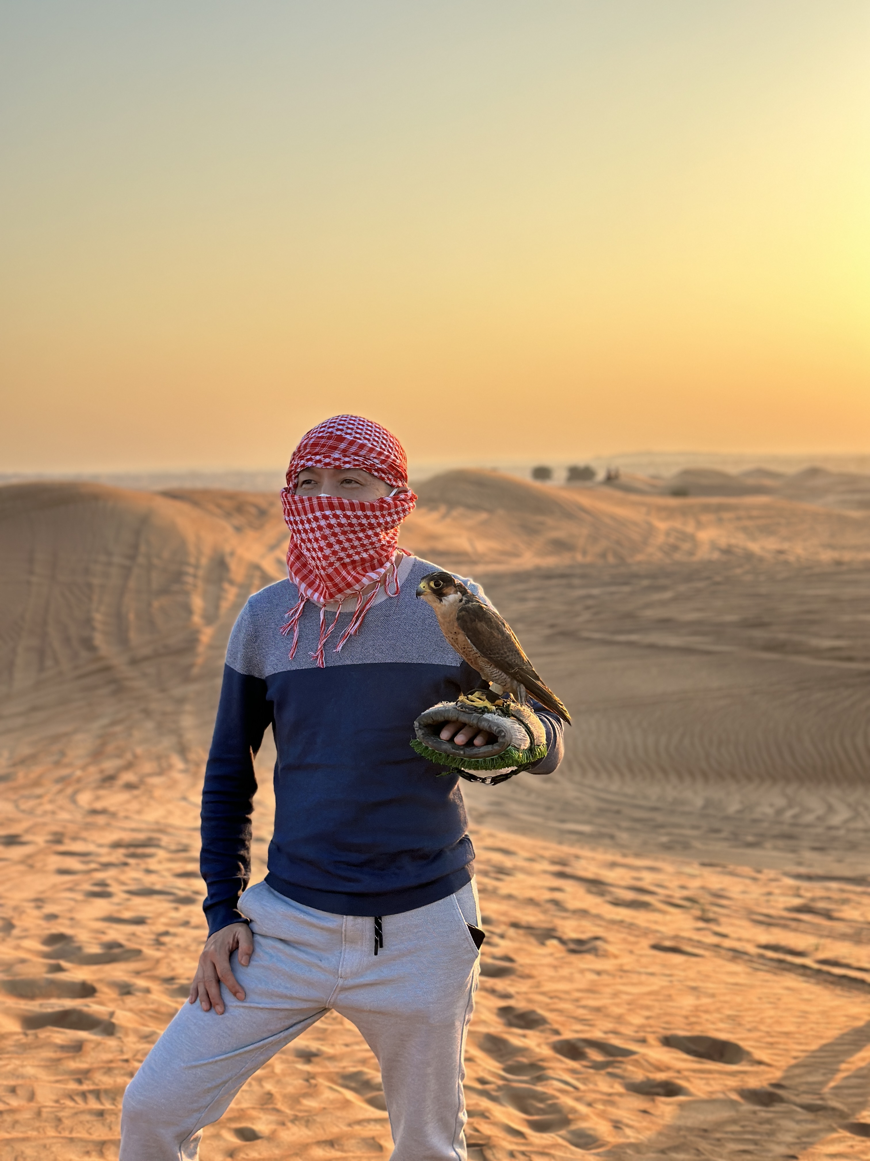 CHRISTMAS IN DUBAI - Image - 1336