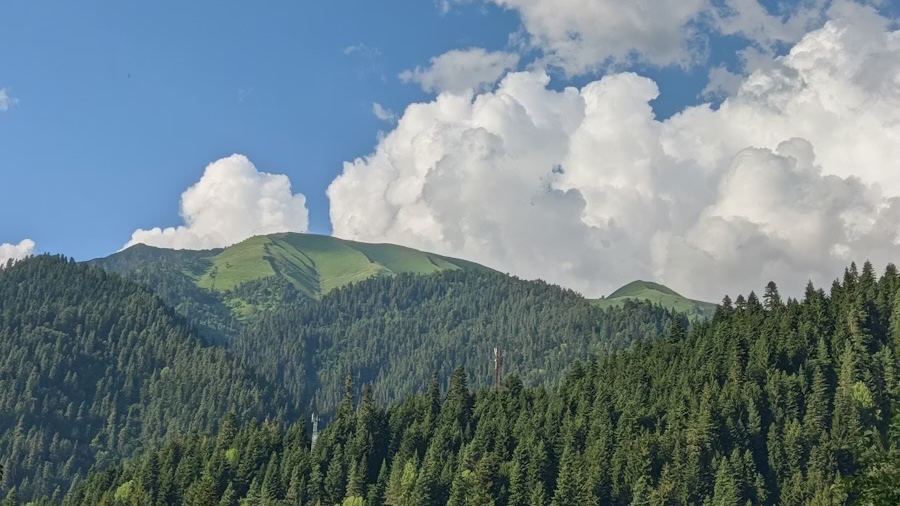 Tbilisi to Borjomi Day Tour – Borjomi Central Park, Mineral Water &amp; Nature Escape - Image - 14331