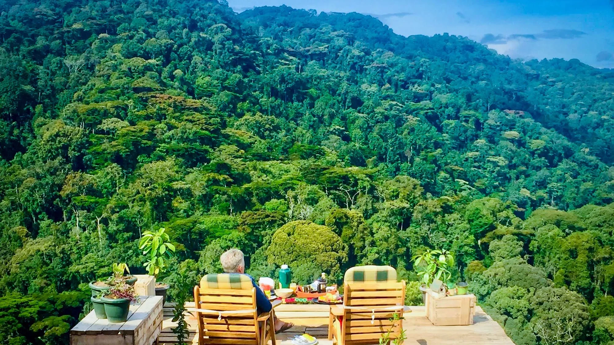 10 DAY FLY IN MEMORABLE UGANDA GORILLA TREKKING AND WILDLIFE SAFARI - Image - 14142