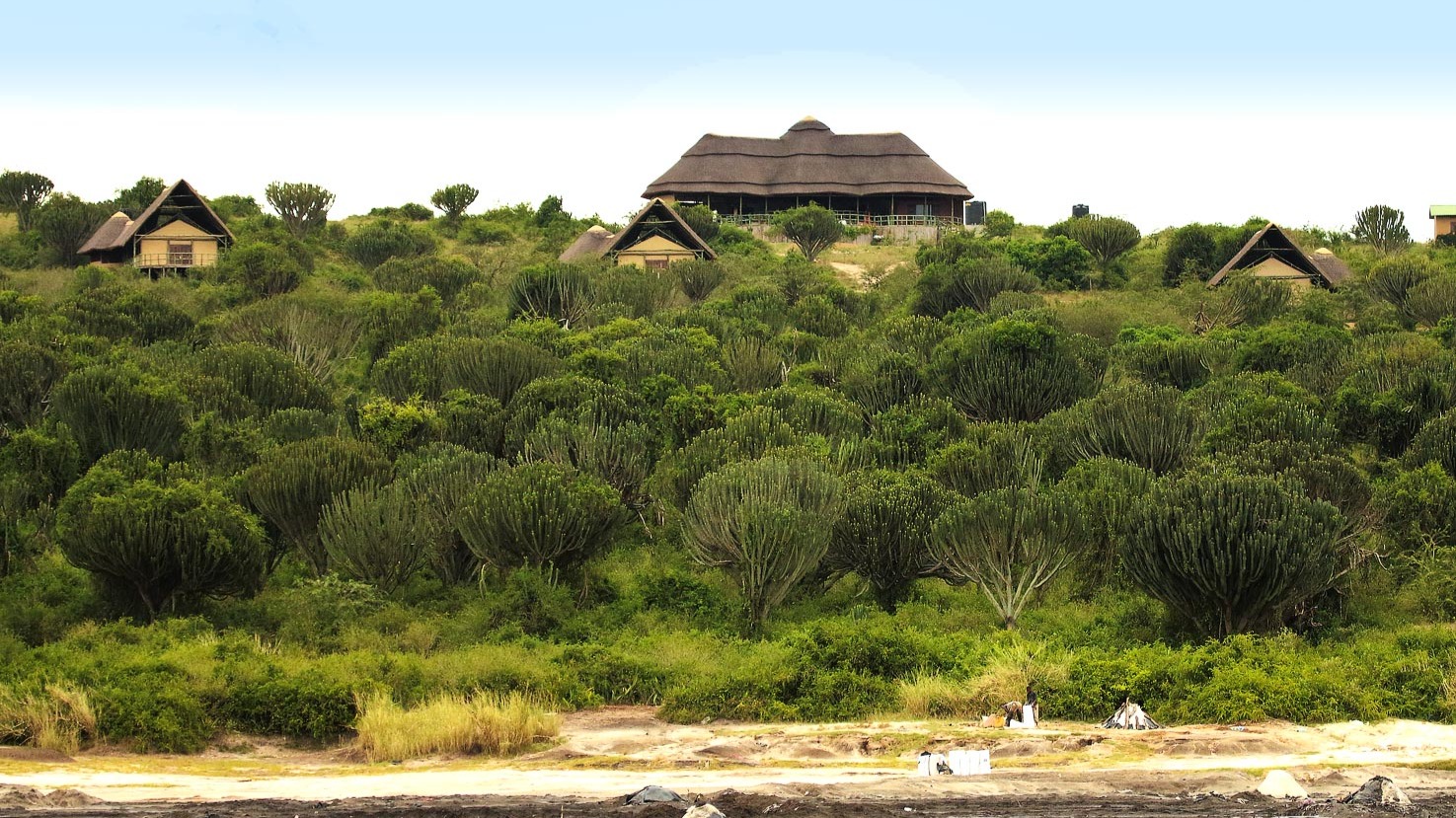10 DAY FLY IN MEMORABLE UGANDA GORILLA TREKKING AND WILDLIFE SAFARI - Image - 14138