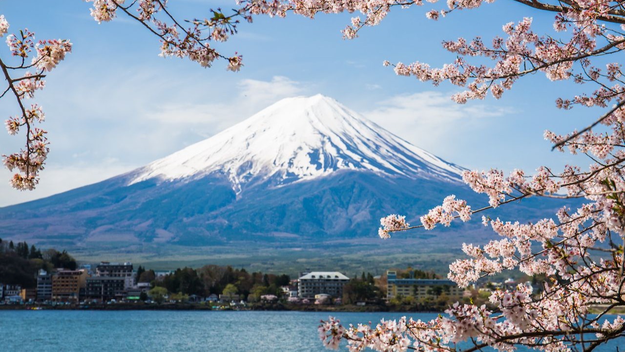 KHÁM PHÁ NHẬT BẢN MÙA HOA ANH ĐÀO 2026: OSAKA – KOBE – KYOTO – NAGOYA – NÚI PHÚ SĨ – TOKYO - Image - 9018
