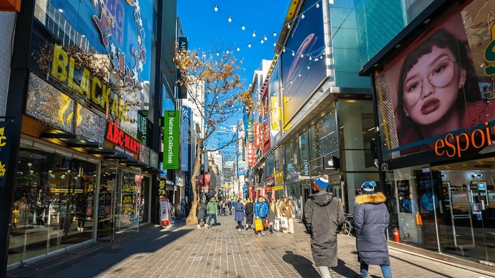FREEDAY - NO SHOP | HÀ NỘI - SEOUL 6N5Đ MÙA LÁ VÀNG - Image - 19747