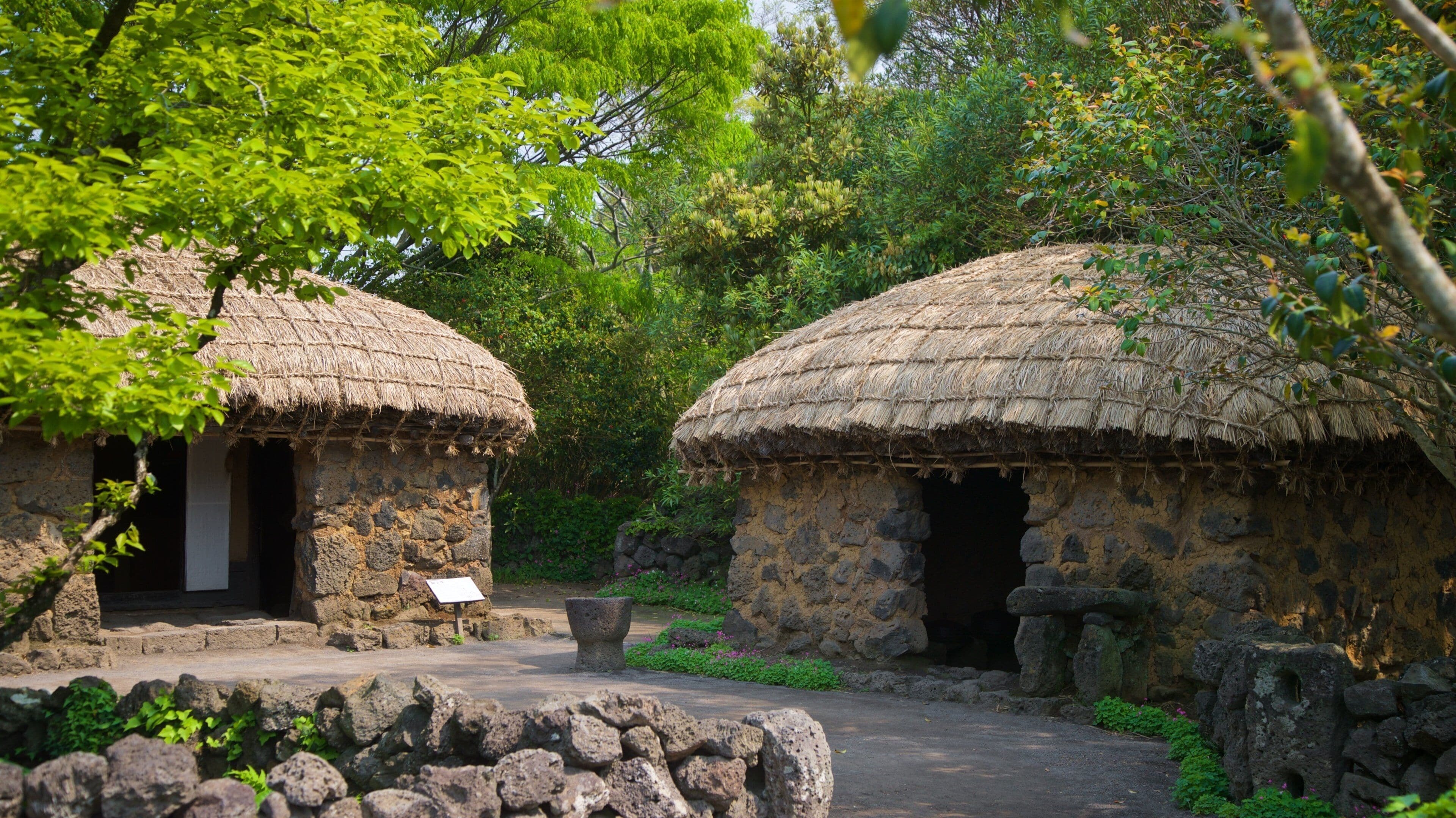 Busan - Jeju 6N5Đ: Thiên Đường Biển Đảo – Hawaii xứ Hàn - Image - 13425