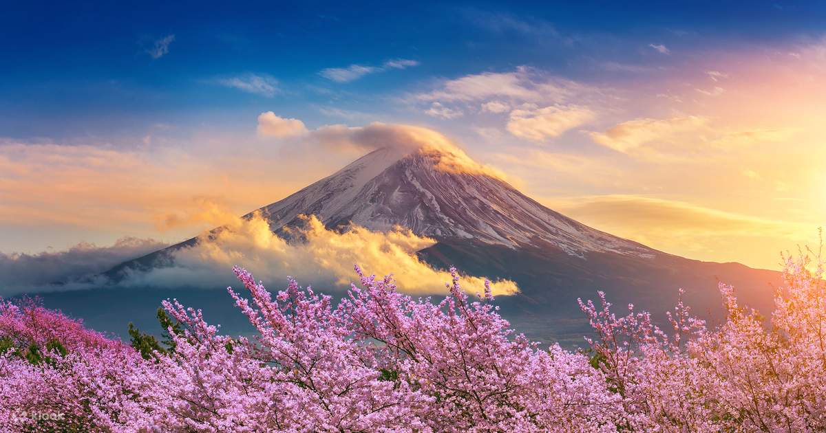 Japan – Double Cherry Blossom Tour 2024