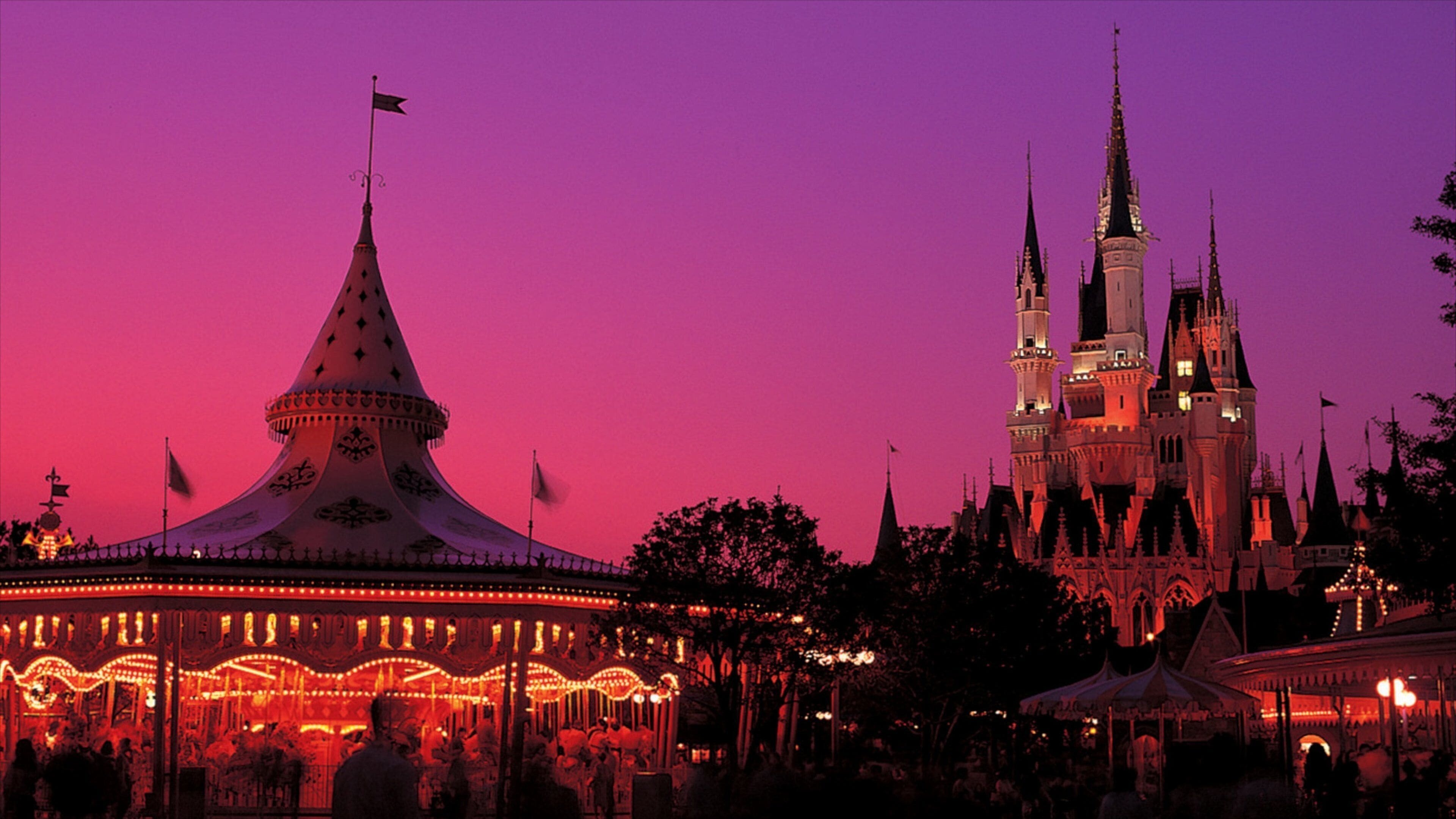 TOKYO – YAMANASHI – NAGOYA / TOYOHASHI – KYOTO – OSAKA ( DISNEYLAND) - Image - 13613