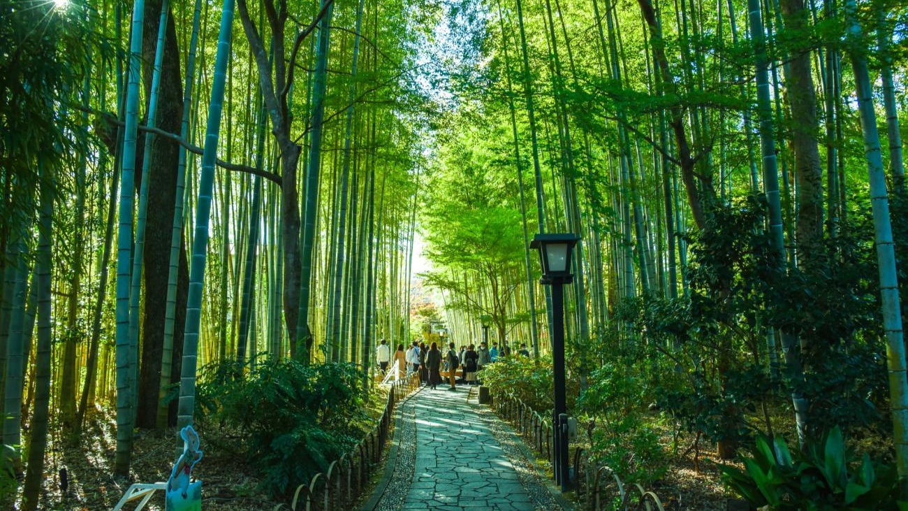 NHẬT BẢN 6N5Đ | TP HỒ CHÍ MINH - KANSAI - OSAKA - KYOTO - GIFU - SHIRAKAWAGO - TOYAMA - TOKYO - HANEDA - Image - 11077
