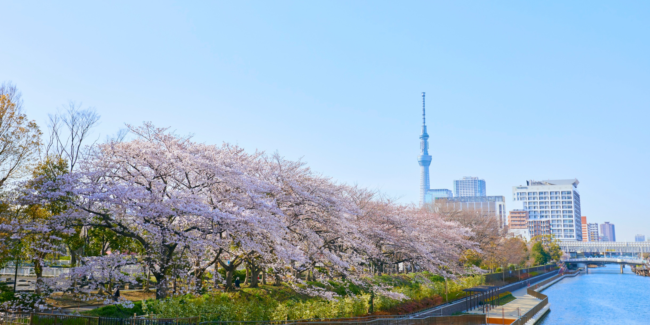 Osaka - Kyoto - Kobe - Mount Fuji - Tokyo - Odaiba Bay - Image - 509