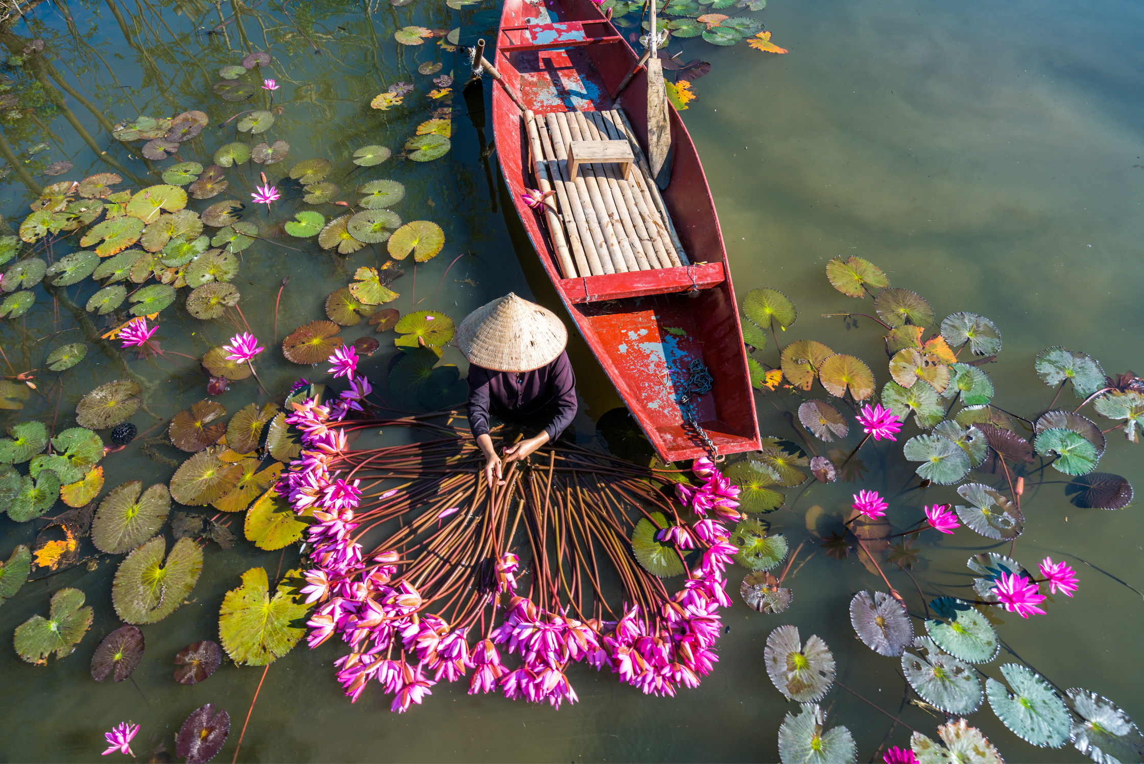 Ninh Binh Day trip from Hanoi: Ninh Binh - Hoa Lu - Trang An - Mua Cave​