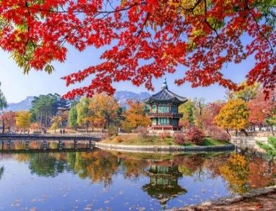 Khám Phá Mùa Thu Hàn Quốc : Đà Nẵng - Seoul - Đảo Nami - Công viên Everland | Vitracotour