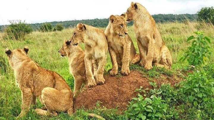 8DAYS BEST OF KENYA - Image - 15047