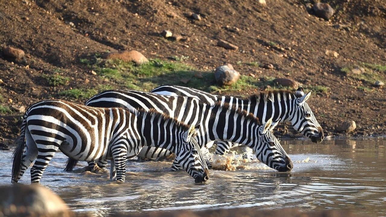 8DAYS BEST OF KENYA - Image - 15051