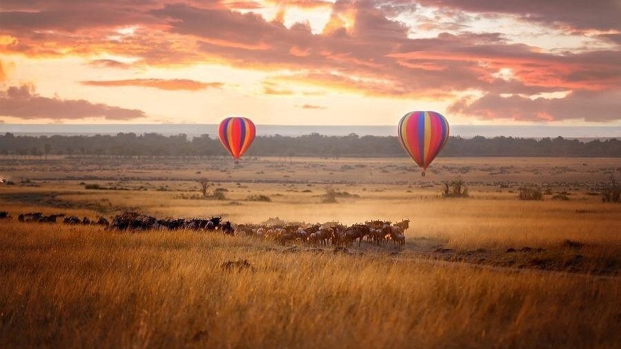 8DAYS BEST OF KENYA - Image - 15048