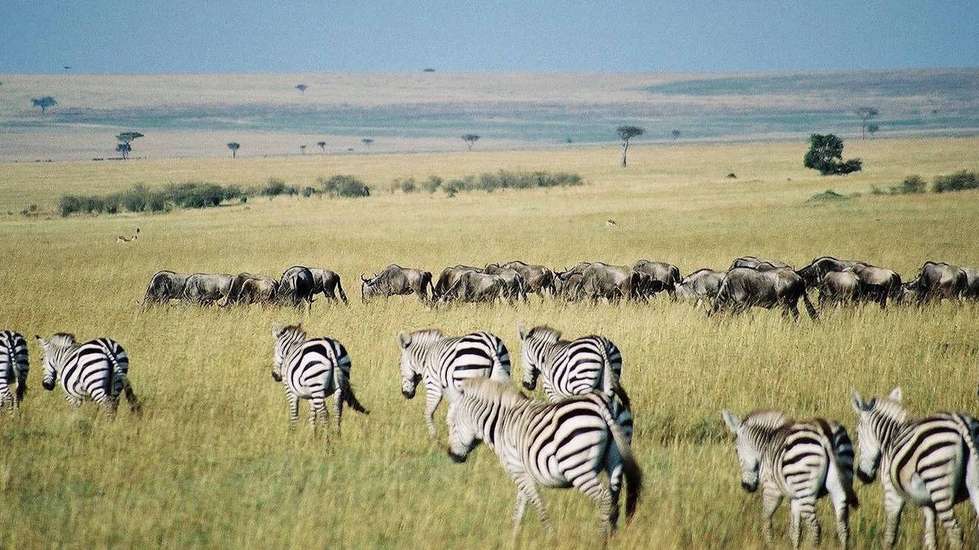 8DAYS BEST OF KENYA - Image - 15054