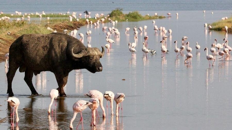 8DAYS BEST OF KENYA - Image - 15044