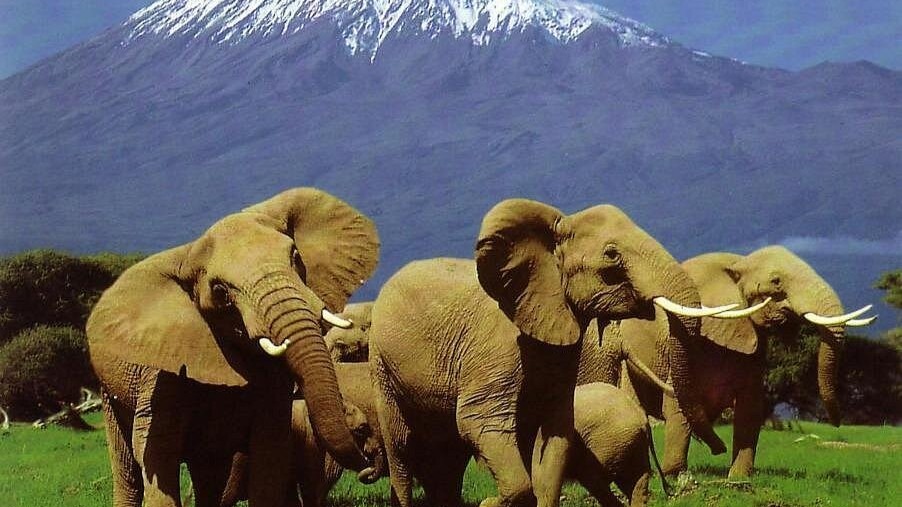 8DAYS BEST OF KENYA - Image - 15049