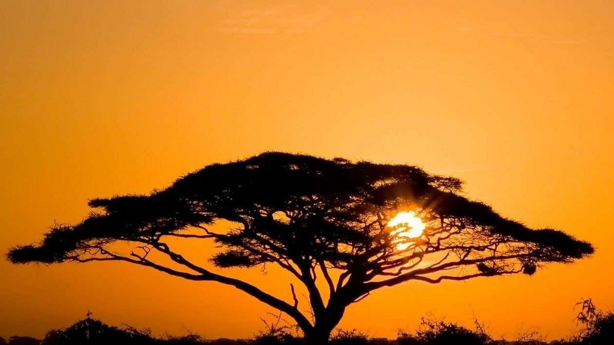 8DAYS BEST OF KENYA - Image - 15045