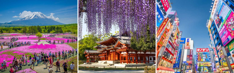Japan Tour 5 Days 4 Nights: Yamanashi | Fuji | Tochigi | Tokyo | Narita