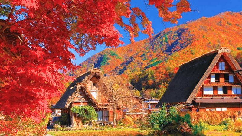 NAGOYA - LÀNG SHIRAKAWAGO - KAMIKOCHI- PHÚ SĨ – BẢO TÀNG HARRY POTTER – TOKYO – NARITA - Image - 13619