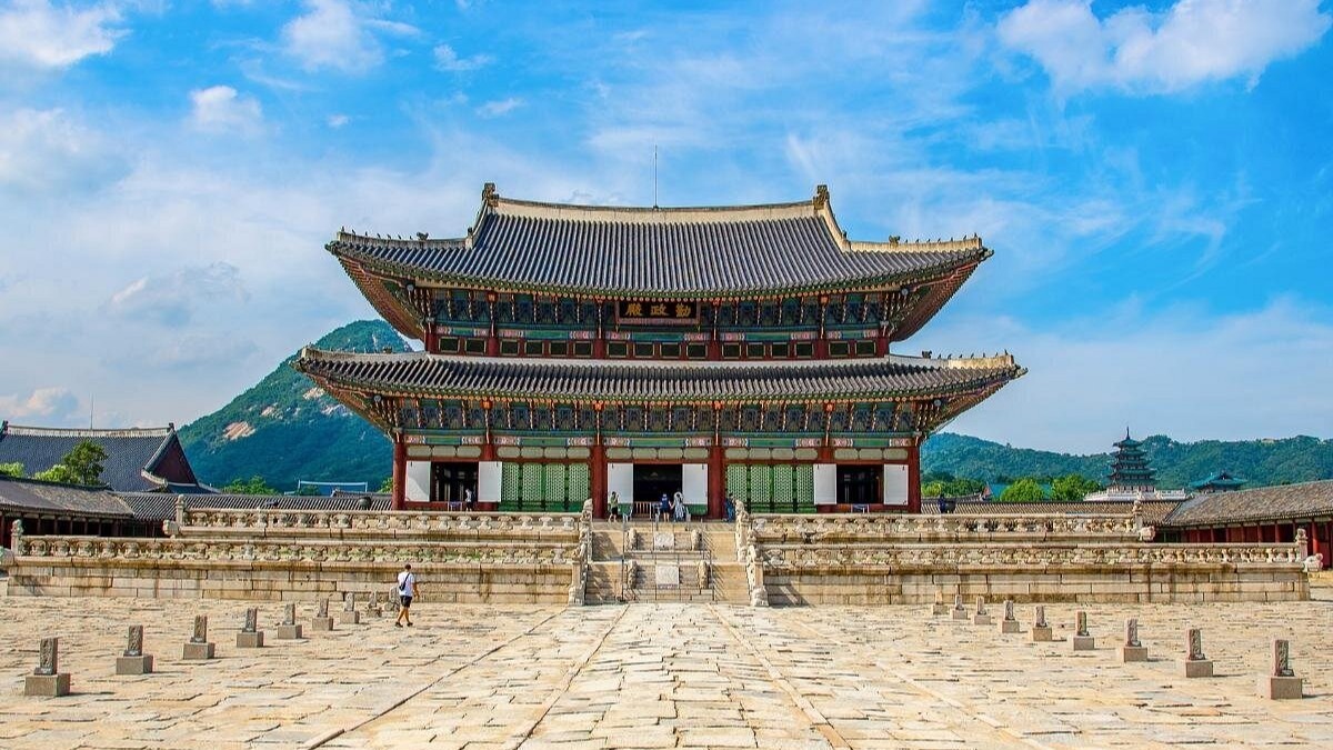 BUSAN - SEOUL - NAMI - NGẮM HẢI ÂU - Image - 14586