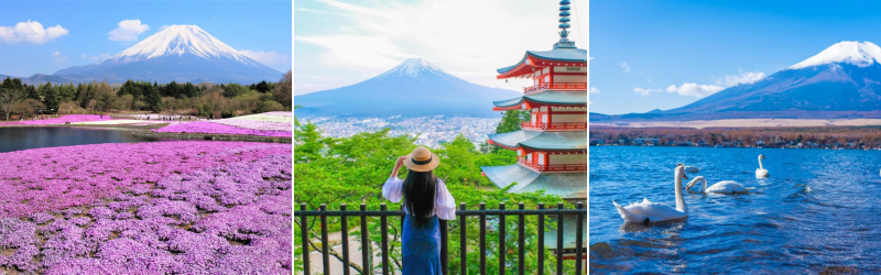 Japan Tour: Kobe | Osaka | Kyoto | Yamanashi | Tokyo - Image - 355