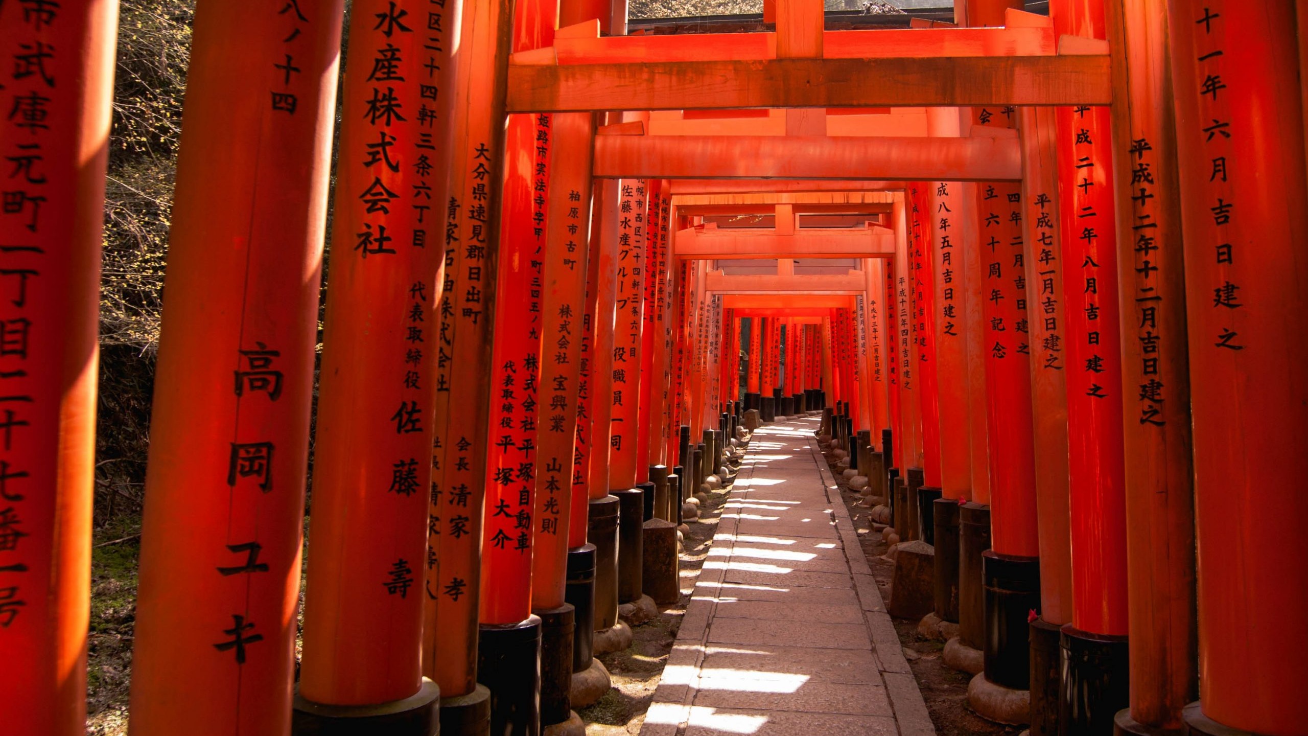[NHẬT BẢN 5N5Đ] TP.HCM – OSAKA – KYOTO – PHÚ SĨ – TOKYO - Image - 14760