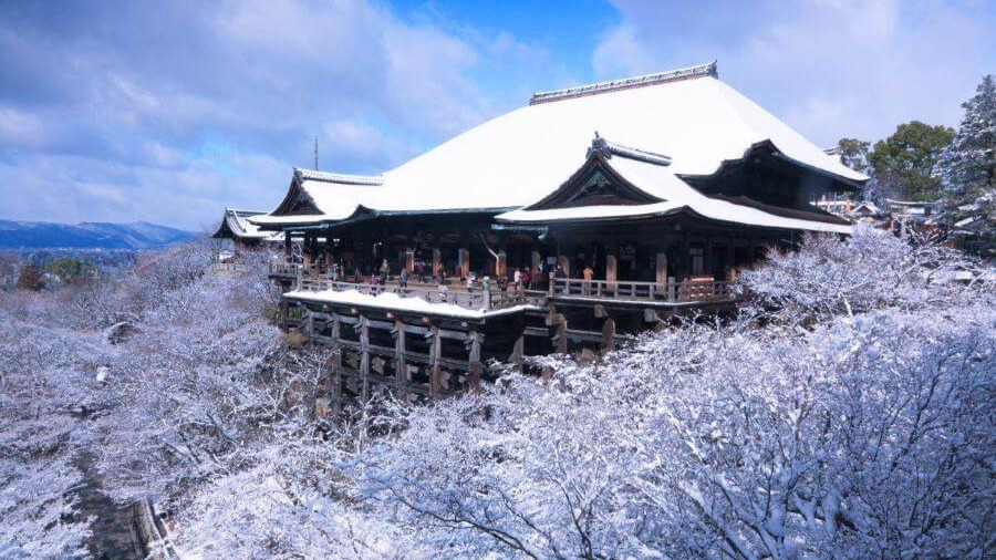 HÀ NỘI – TOKYO – NÚI PHÚ SĨ – NAGOYA – KYOTO – OSAKA – NGẮM HOA ANH ĐÀO - Image - 9014