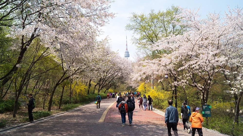 HÀ NỘI – SEOUL – SAUNA – NAMI – EVERLAND – BUS SÔNG HÀN – HÀ NỘI 5N4Đ - Image - 10350