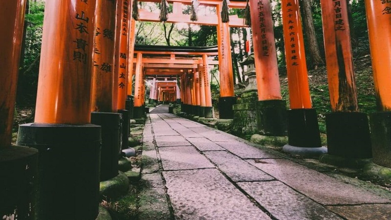Tour Nhật Bản 6N5Đ: Từ HCM - Tokyo - Yamanashi - Kyoto - Osaka - Nagoya, Bay Vietnam Airlines + KS 3-4* - Image - 5997