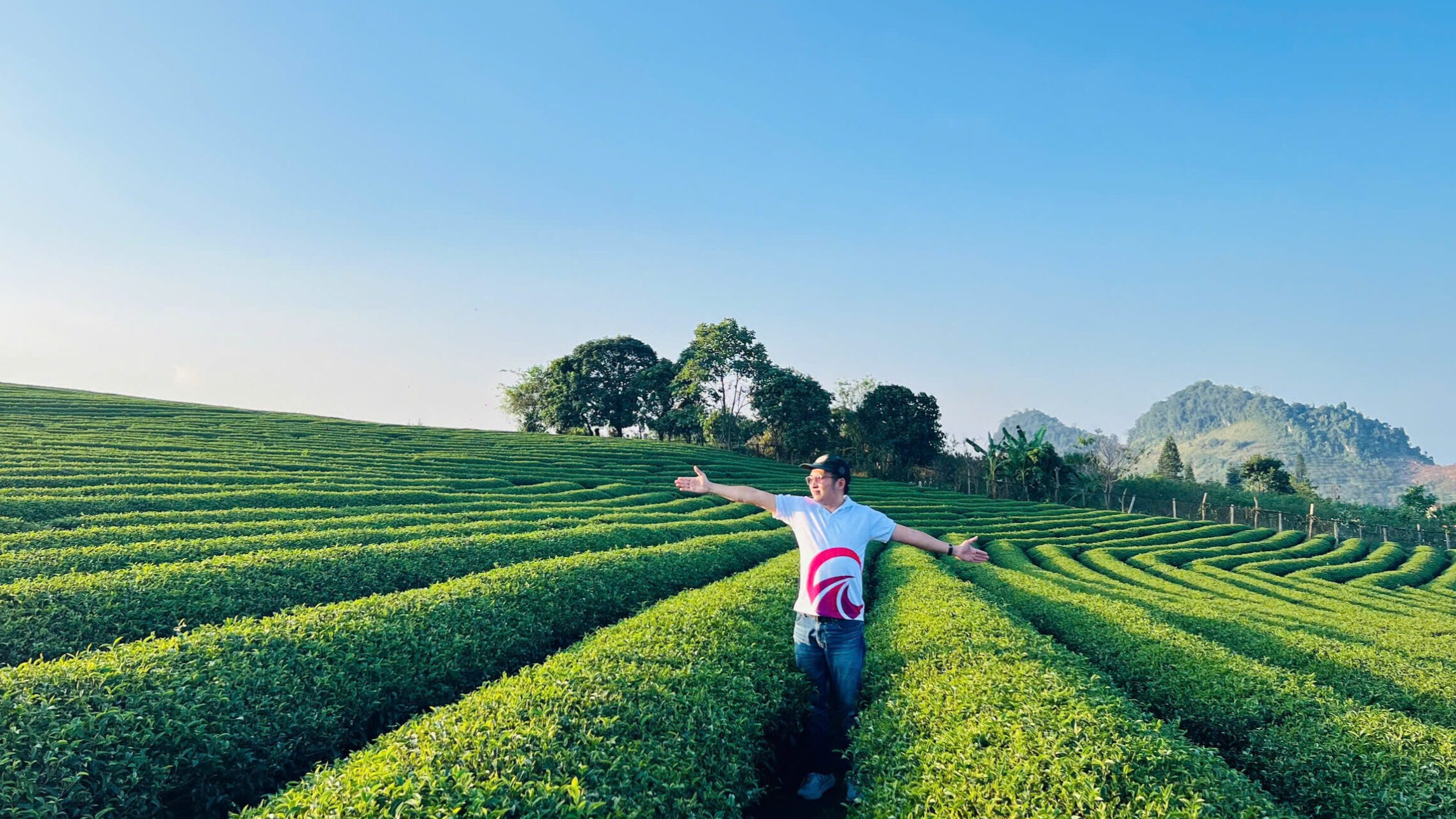 Mộc Châu – Mai Châu hàng tuần - Image - 13651