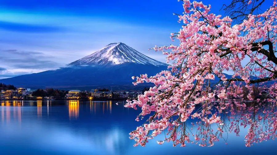 Japan – Double Cherry Blossom Tour 2024