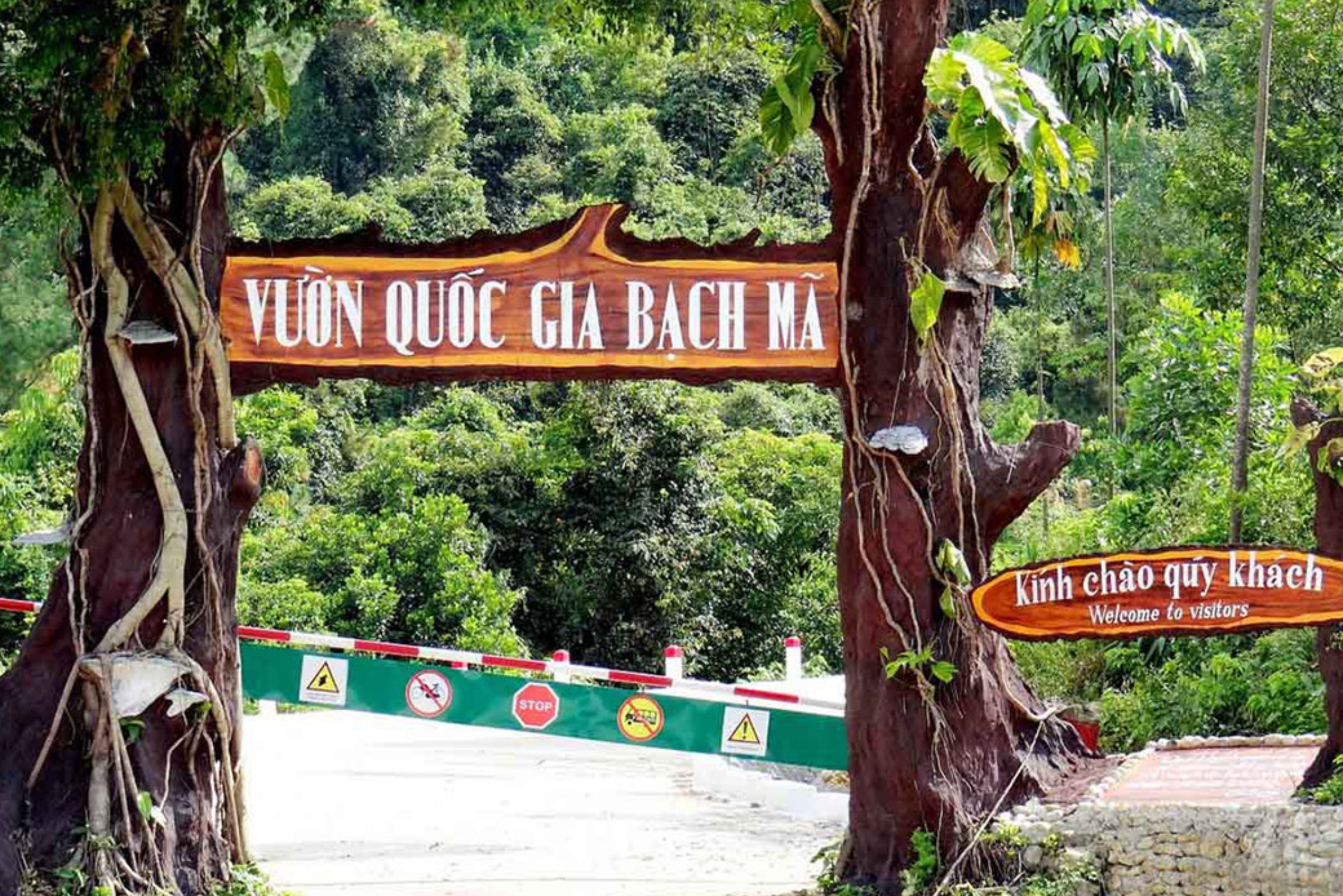 Bach Ma National Park Trek & Lunch Day Trip form Da Nang
