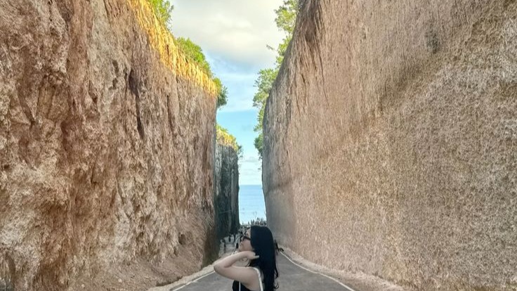 BALI - HALF DAY TOUR - Image - 11577