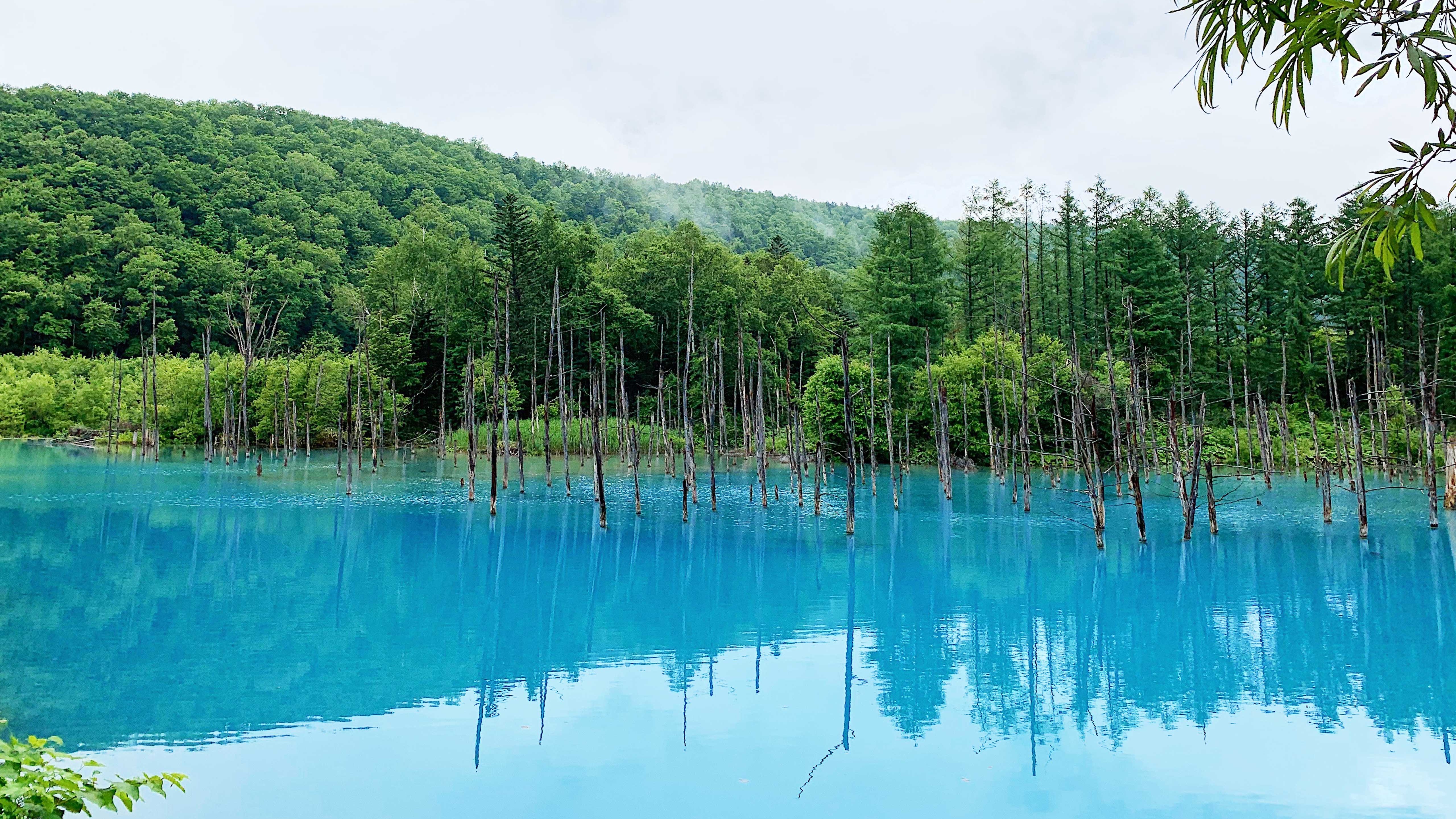 [NHẬT BẢN 6N6Đ] KHÁM PHÁ HOKKAIDO MÙA HÈ 2026 - Image - 11298