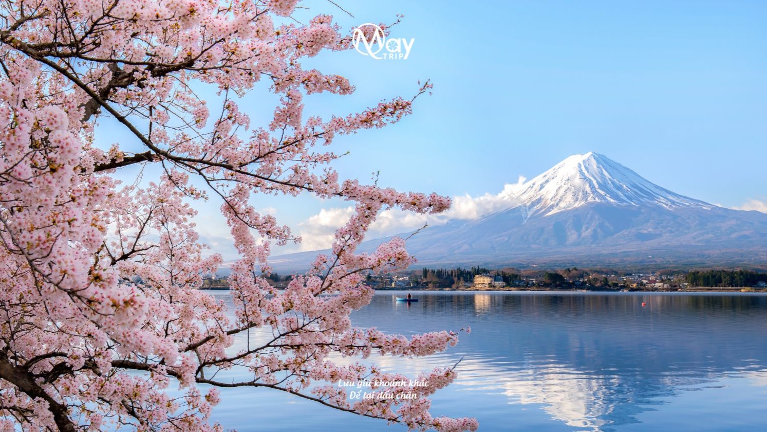 CUNG ĐƯỜNG VÀNG NHẬT BẢN 2026 TOKYO- NÚI PHÚ SỸ- KYOTO- OSAKA (NO SHOPPING) - Image - 5594