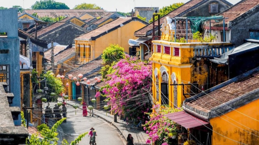 Tour Sơn Trà - Rừng Dừa 7 mẫu - Hội An - Image - 6868