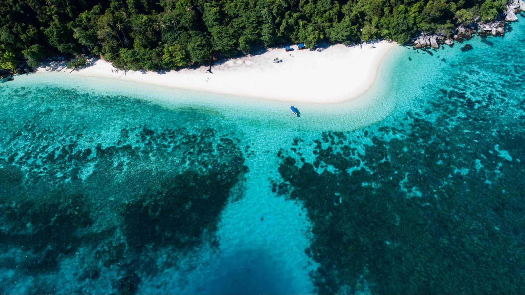 KHÁM PHÁ ĐẢO RỒNG TIOMAN 5N4Đ: Lặn ngắm san hô – bơi cùng cá Nemo - Image - 19138