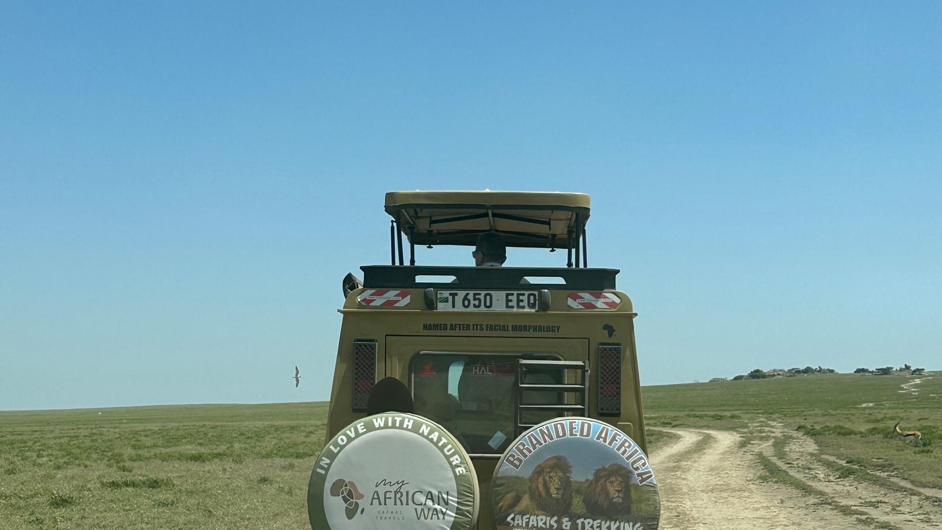 8-Day Classic Tanzania Easy Safaris - Image - 25784