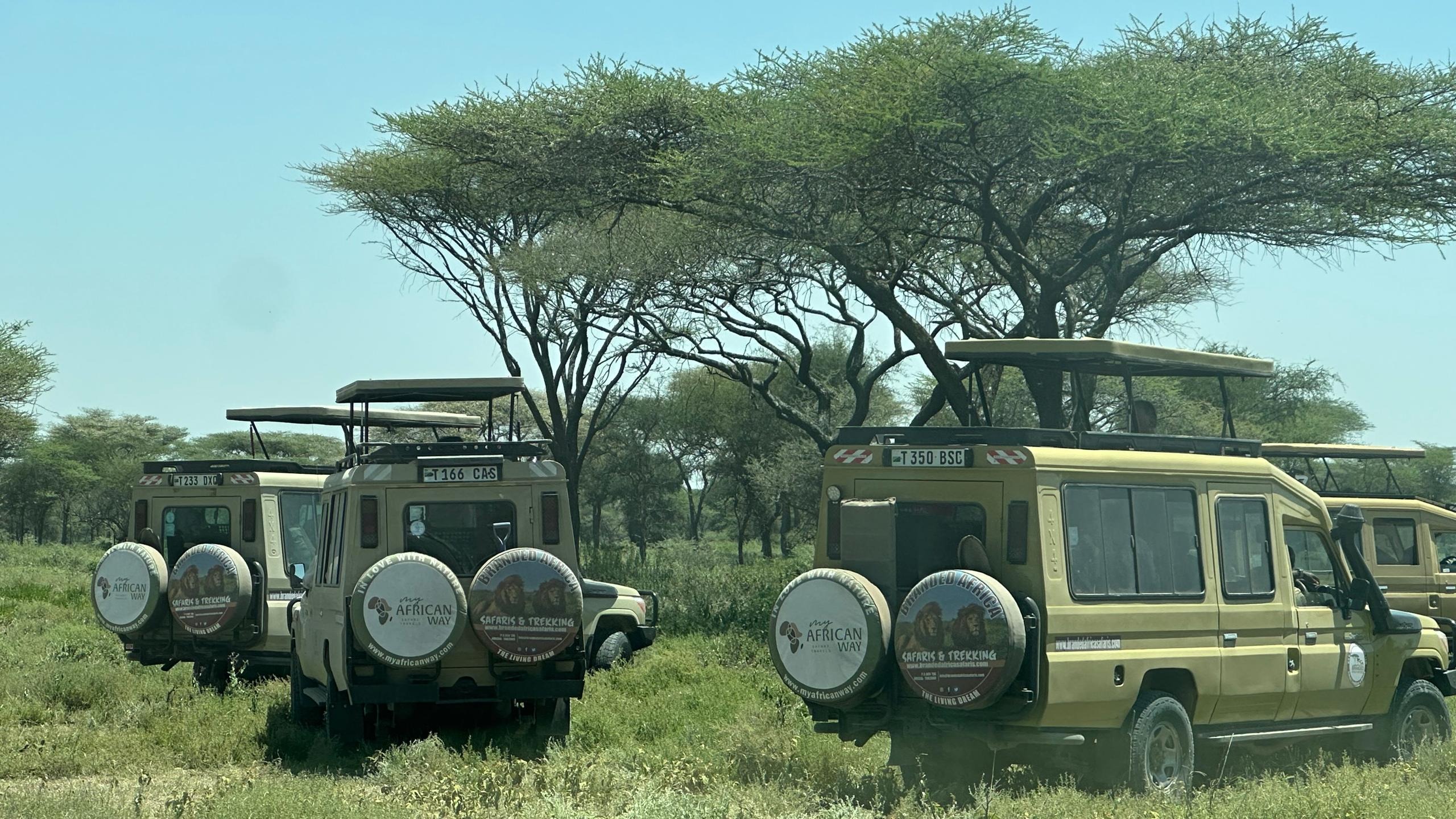3-Day Fly-in Serengeti Luxury Safari - Image - 19414