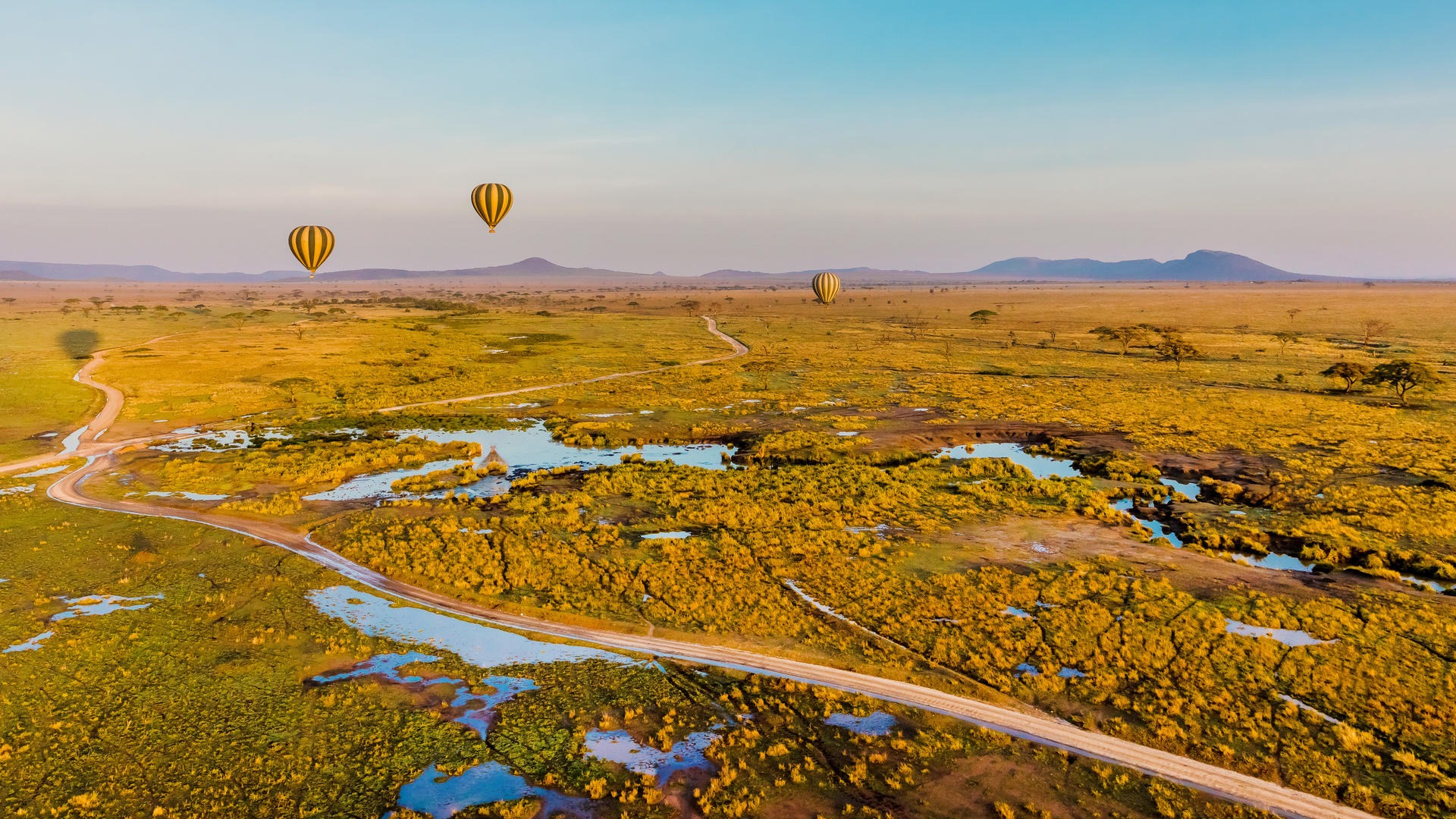 17 Days Ultimate Northern Safari and Trekking (Tanzania) - Image - 11910