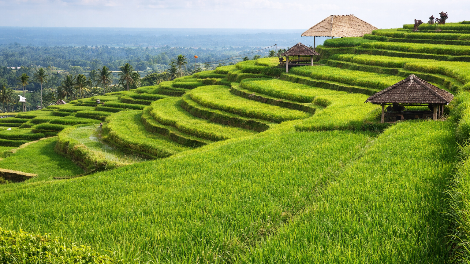 Jatiluwih Tanah Lot Tour - Image - 12168