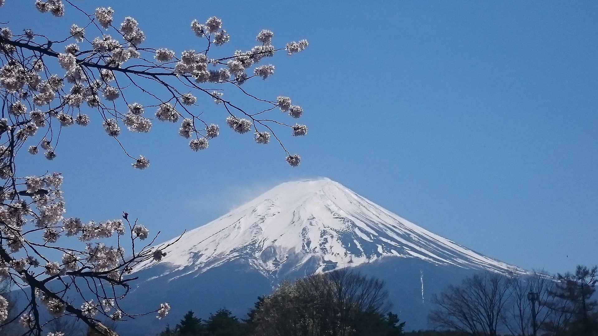 CUNG ĐƯỜNG VÀNG – SẮC HÈ RỰC RỠ 5N5Đ OSAKA – KYOTO – FUJI – TOKYO – NARITA - Image - 10689