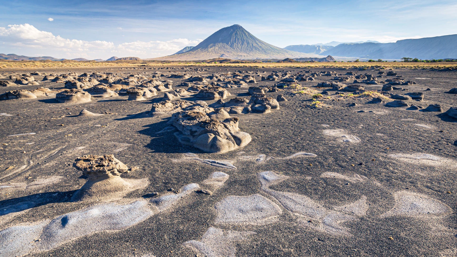 17 Days Ultimate Northern Safari and Trekking (Tanzania) - Image - 11913