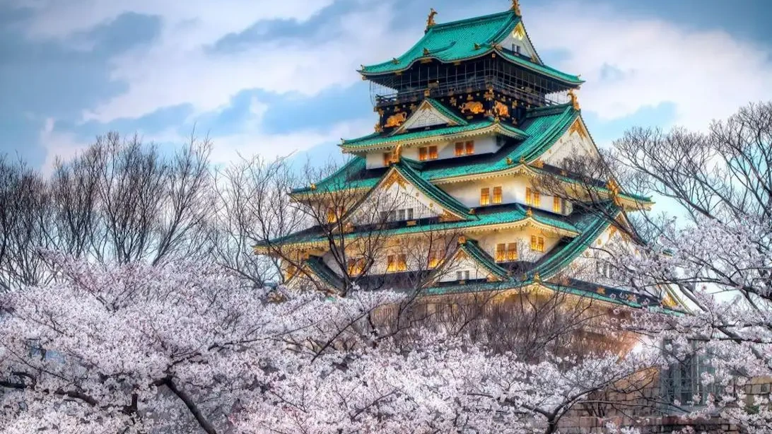 HÀ NỘI – OSAKA – KOBE – KYOTO – NÚI PHÚ SĨ – TOKYO – NGẮM HOA ANH ĐÀO – HÀ NỘI - Image - 8987